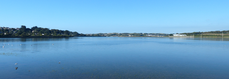 Hayle Estuary View
